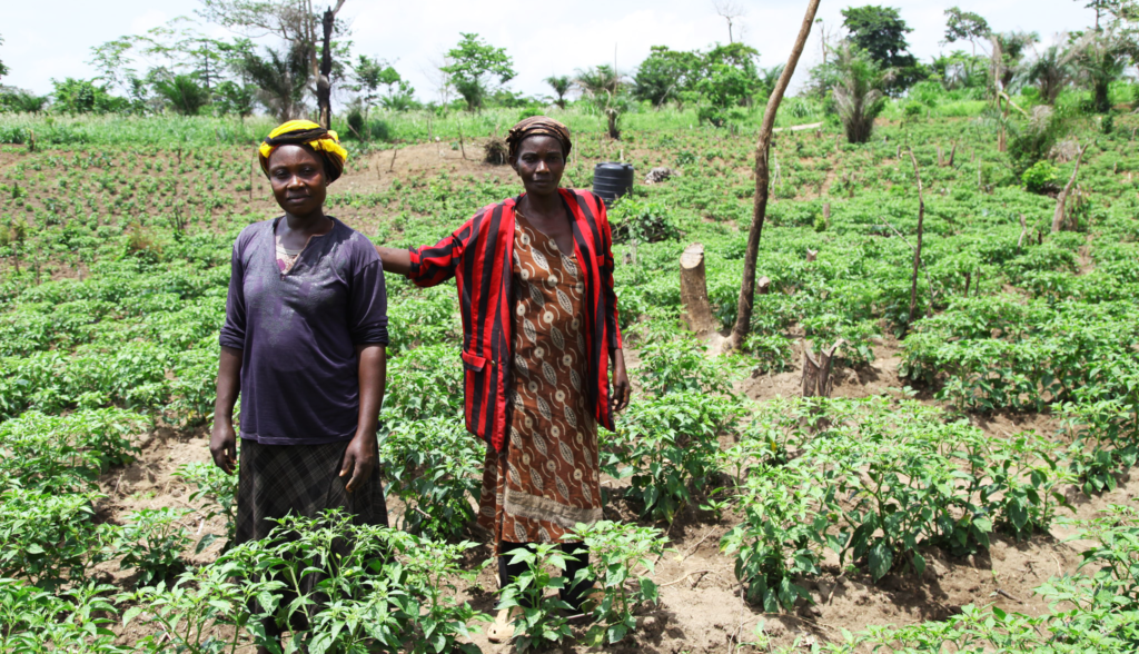 Global Alliance for the Future of Food Real Food Media