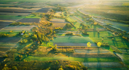Aerial view of crop fields in autumn with sun shining down.