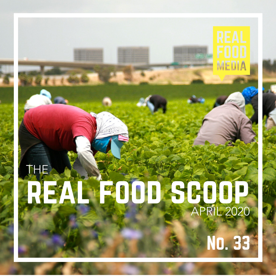 Real Food Scoop No. 33 Real Food Media