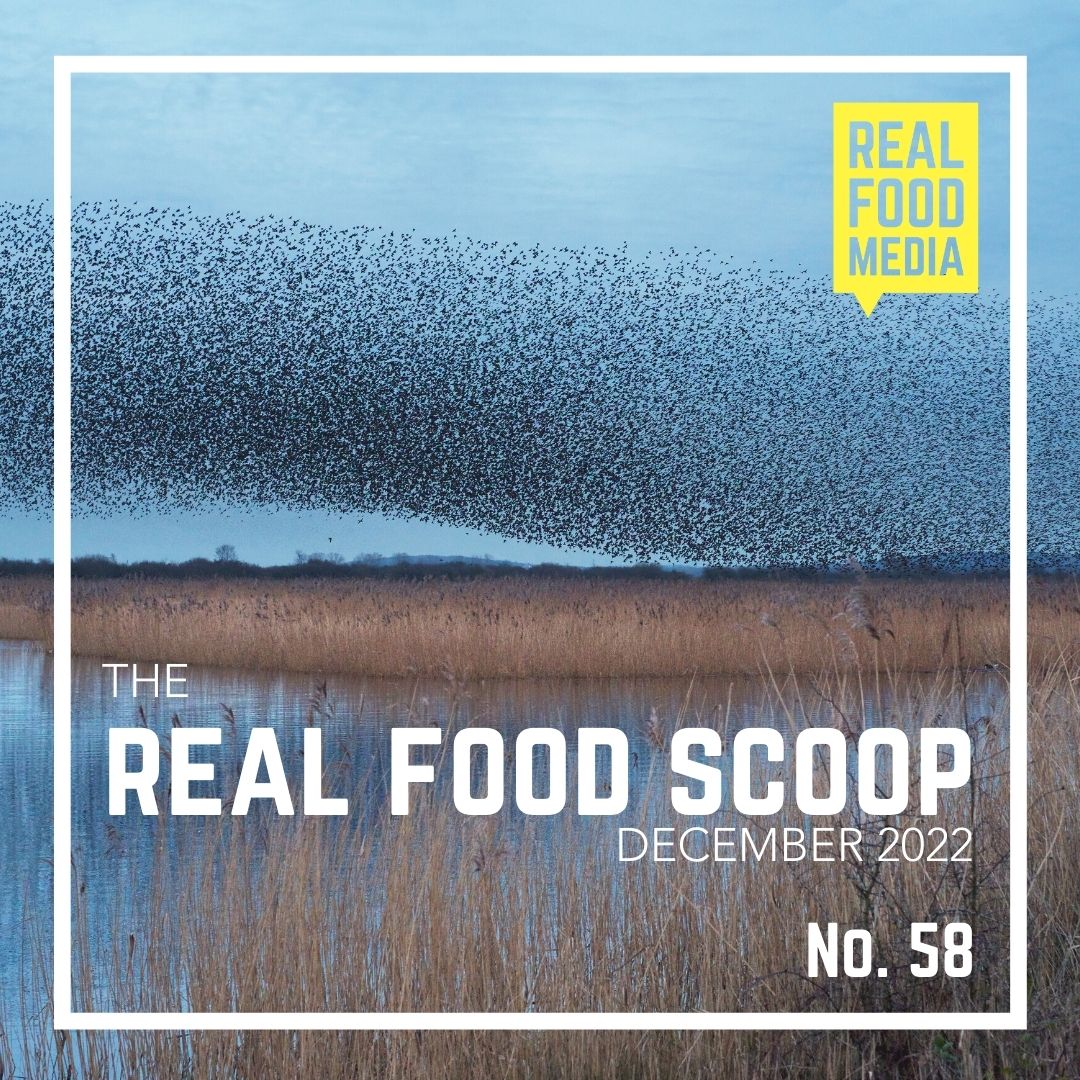 Real Food Scoop No. 58 Real Food Media