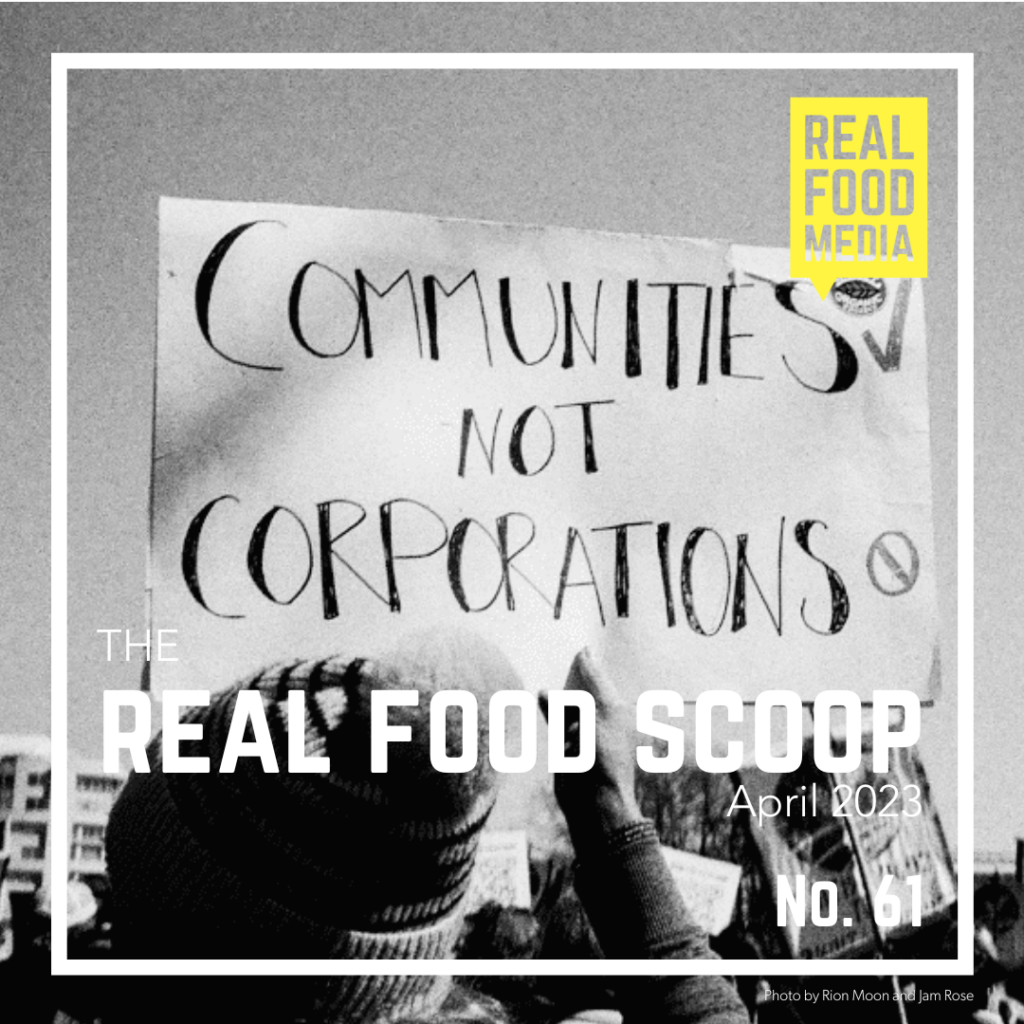 Voices of an Organic Real Food Media